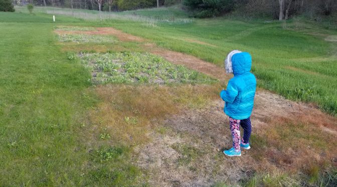2019 Wildflowers, Part 1 February – May